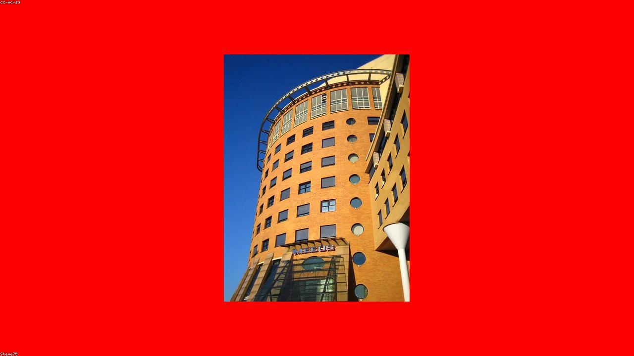 Technology Consulting for Growing Businesses in East Africa